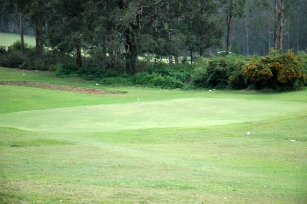 golf-courseC6CB988D-36DE-CE75-5D34-78C7777A60CA.jpg