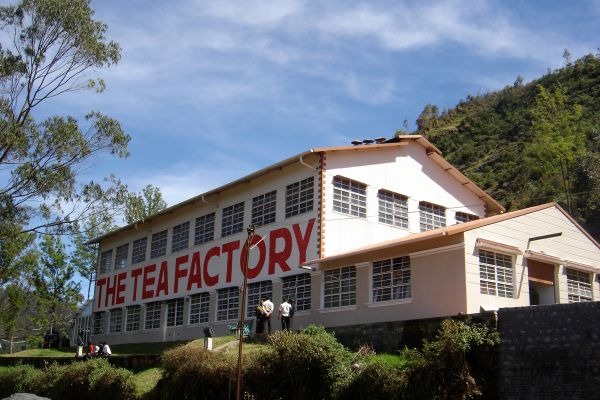 tea-factoryF10B874A-317E-7F8D-1095-F3D73241E112.jpg